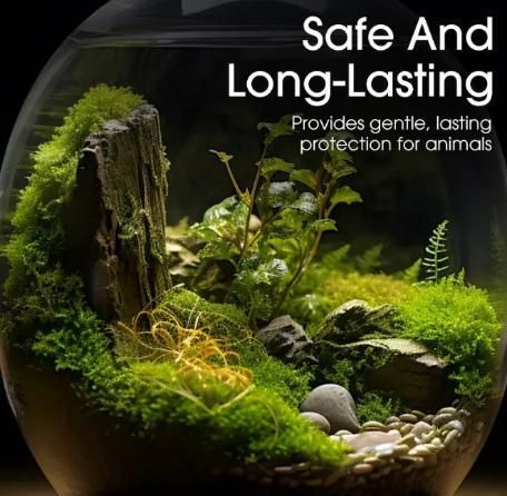 Moss Spore Powder Seeds 100gm Each (Pack of 2)