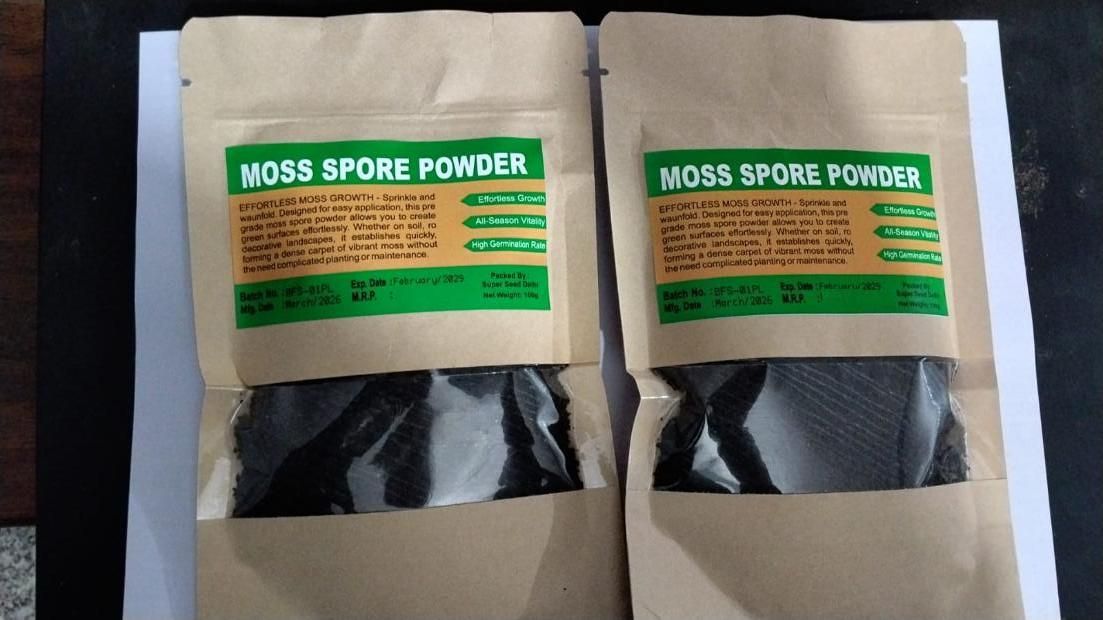 Moss Spore Powder Seeds 100gm Each (Pack of 2)